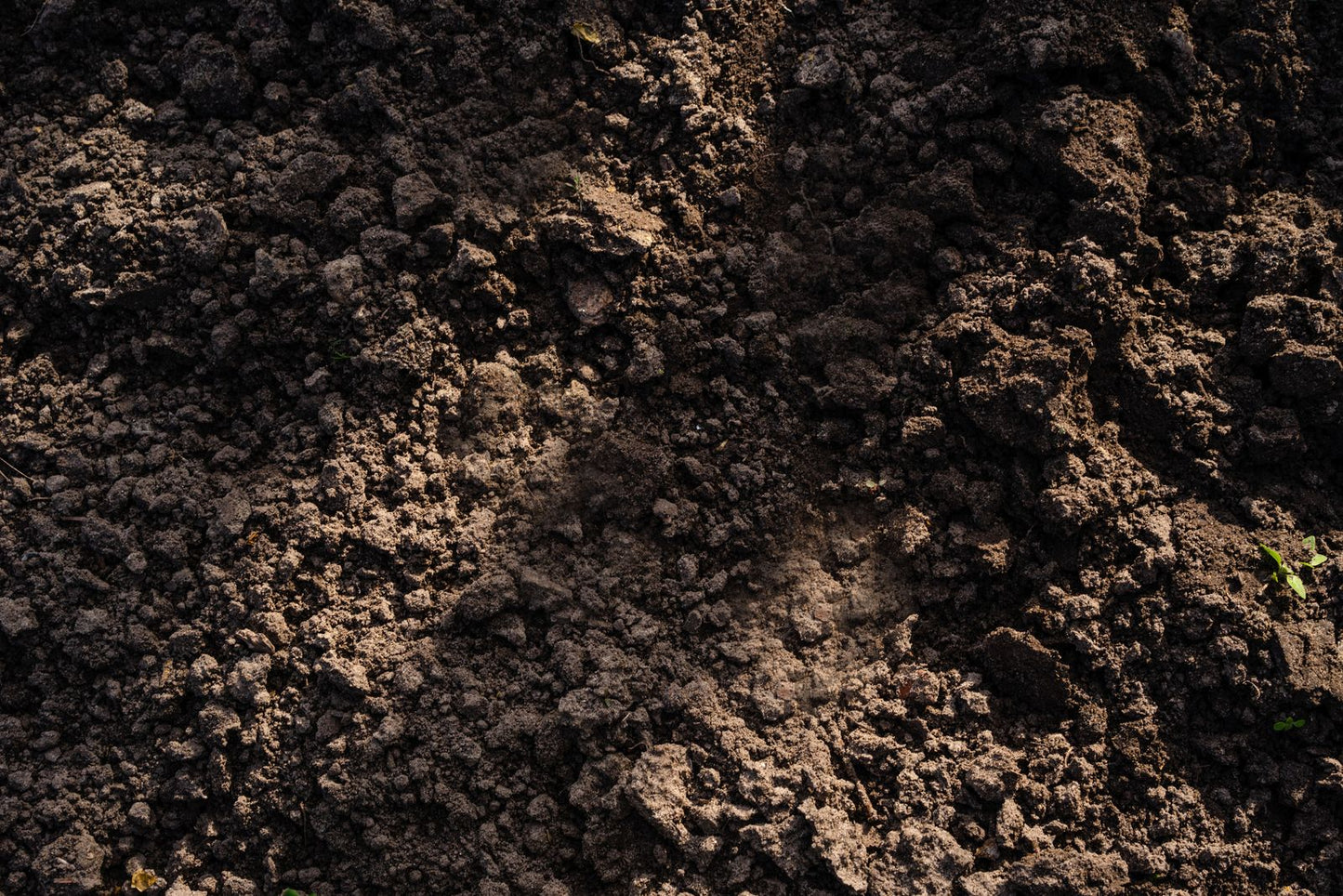 Screened Topsoil